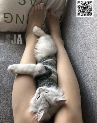 权利的游戏第一季