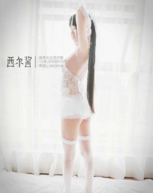2024最新电视剧