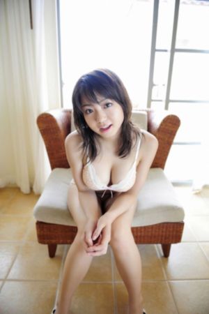 图腾领域第二季