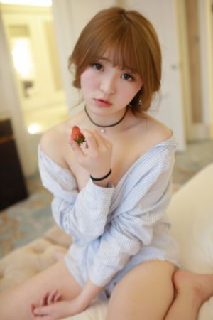 黑狐之风影电视剧