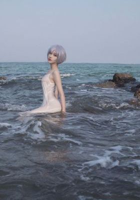 秘密入侵第二集