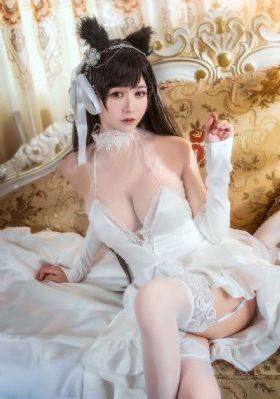 天使之争电视剧在线观看免费